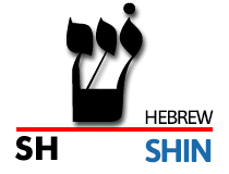 shin